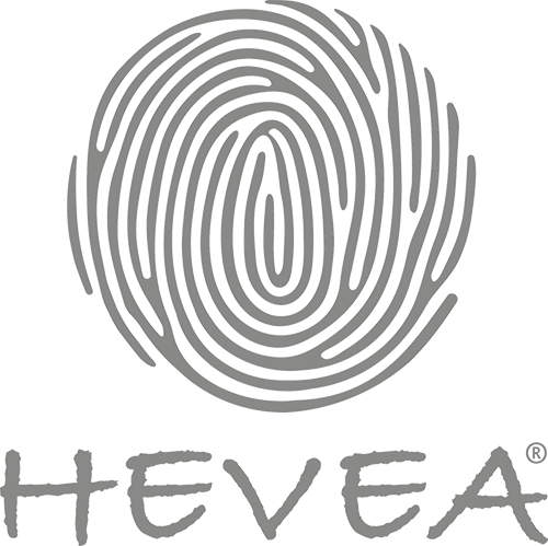 Hevea