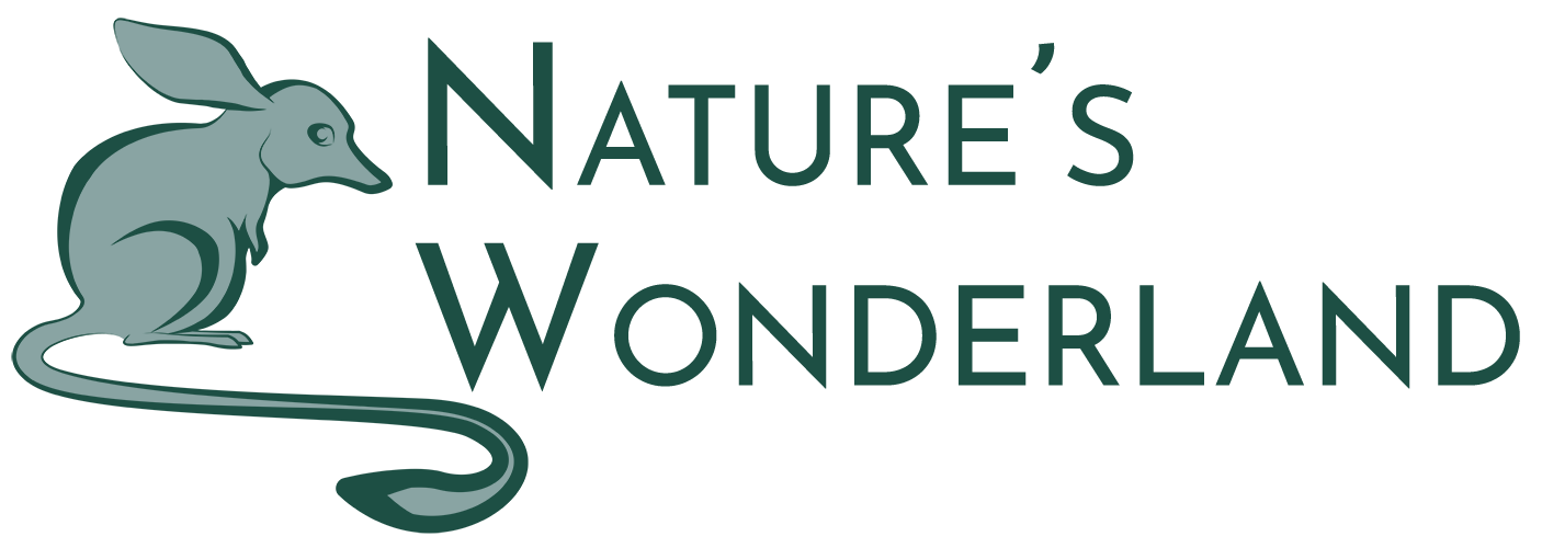 Nature's Wonderland - Australia's Most Trusted for Healthy & Ethical Living